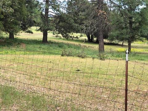 7043 Railroad Flat Rd, Mountain Ranch, CA 95246 photo 3