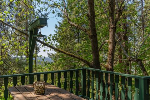 24357 Shake Ridge Rd, Volcano, CA 95689 photo 18