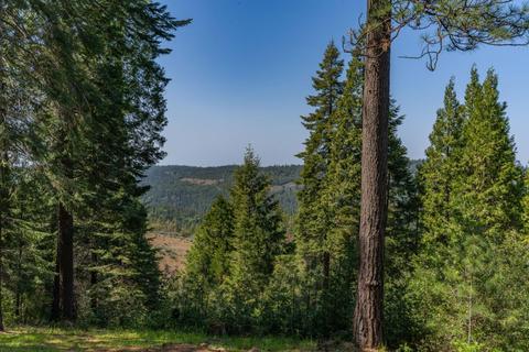 24357 Shake Ridge Rd, Volcano, CA 95689 photo 14