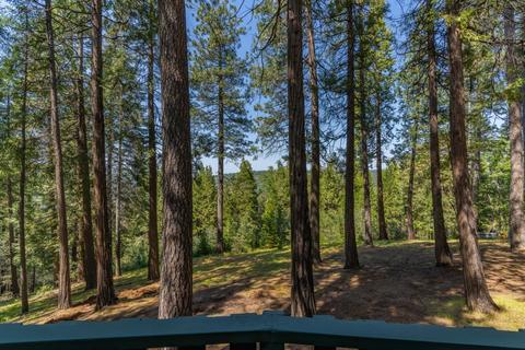24357 Shake Ridge Rd, Volcano, CA 95689 photo 26