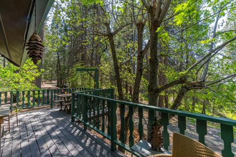 24357 Shake Ridge Rd, Volcano, CA 95689 photo 23