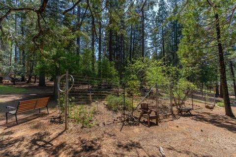 24357 Shake Ridge Rd, Volcano, CA 95689 photo 7
