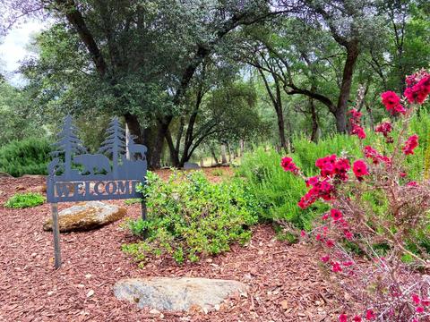 2067 Cabiao Rd, Placerville, CA 95667 photo 7