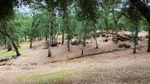 2067 Cabiao Rd, Placerville, CA 95667 photo 62