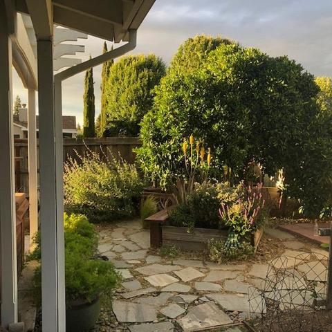 1882 Abby Pl, Manteca, CA 95336 photo 24