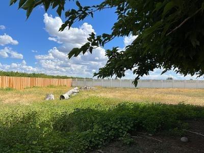 28424 Lemon Ave, Escalon, CA 95320 photo 30
