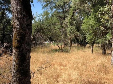 2768 Dyer Way, Placerville, CA 95667 photo 5