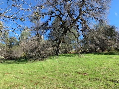 2768 Dyer Way, Placerville, CA 95667 photo 2
