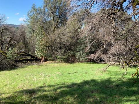 2768 Dyer Way, Placerville, CA 95667 photo 9