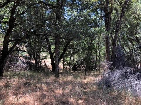 2768 Dyer Way, Placerville, CA 95667 photo 6