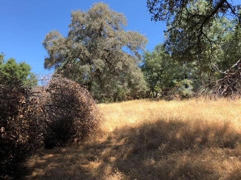 2768 Dyer Way, Placerville, CA 95667 photo 4