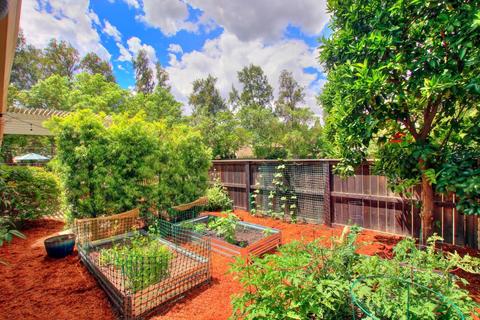 621 Francisco Pl, Davis, CA 95616 photo 40