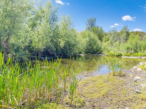 4646 Summer Stream Ln, Placerville, CA 95667 photo 18