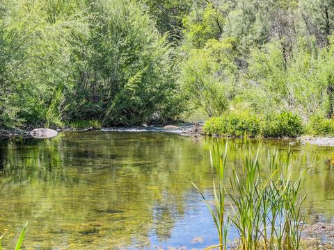 4646 Summer Stream Ln, Placerville, CA 95667 photo 17