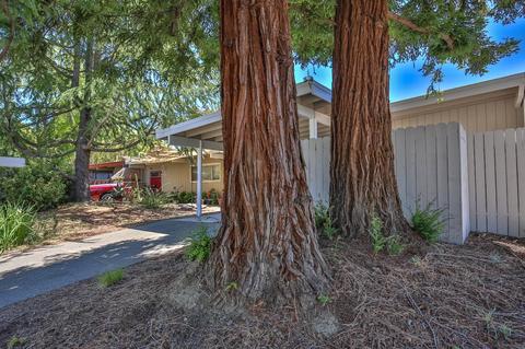 416 Jardin Pl, Davis, CA 95616 photo 4