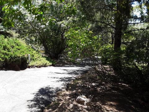 2551 Ladera Ln, Placerville, CA 95667 photo 16