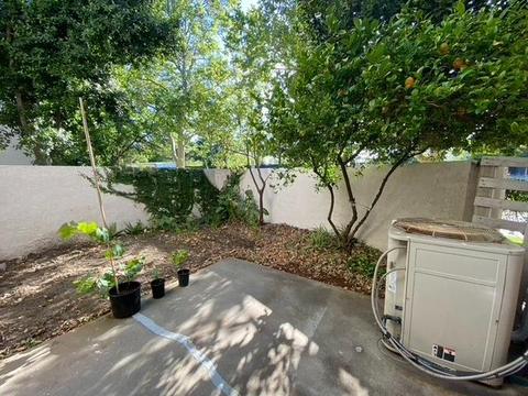 1038 Greene Ter, Davis, CA 95618 photo 17