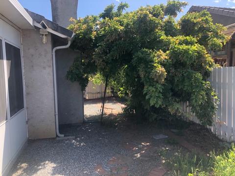 434 Cuppelo Dr, Williams, CA 95987 photo 25