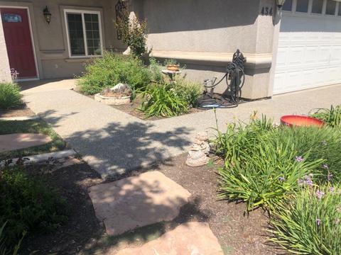 434 Cuppelo Dr, Williams, CA 95987 photo 3