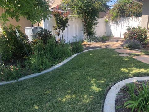 434 Cuppelo Dr, Williams, CA 95987 photo 4