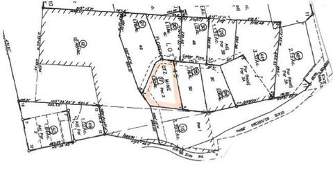 13780 Cedar Pine Ln, Pine Grove, CA 95665 photo 66