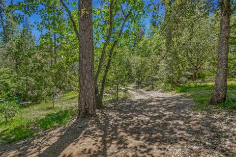 13780 Cedar Pine Ln, Pine Grove, CA 95665 photo 62