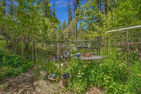 13780 Cedar Pine Ln, Pine Grove, CA 95665 photo 46