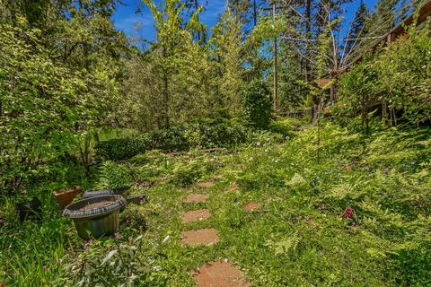 13780 Cedar Pine Ln, Pine Grove, CA 95665 photo 40
