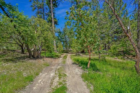 13780 Cedar Pine Ln, Pine Grove, CA 95665 photo 3