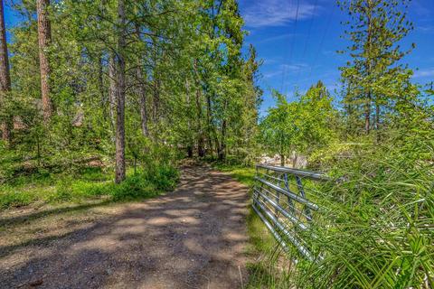 13780 Cedar Pine Ln, Pine Grove, CA 95665 photo 2