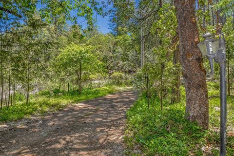 13780 Cedar Pine Ln, Pine Grove, CA 95665 photo 63