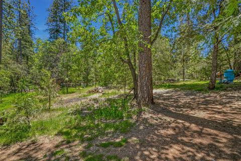 13780 Cedar Pine Ln, Pine Grove, CA 95665 photo 61