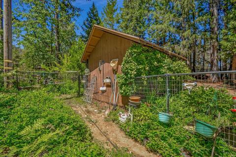 13780 Cedar Pine Ln, Pine Grove, CA 95665 photo 49