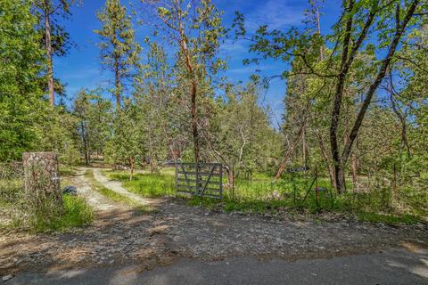 13780 Cedar Pine Ln, Pine Grove, CA 95665 photo 50