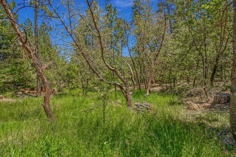 13780 Cedar Pine Ln, Pine Grove, CA 95665 photo 53