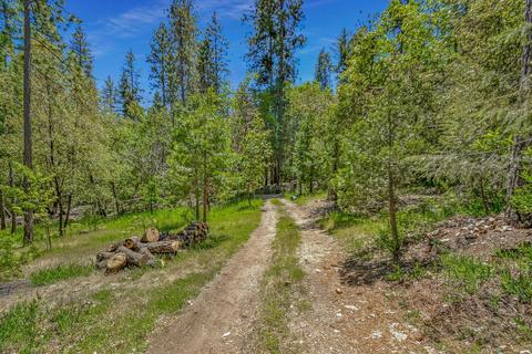 13780 Cedar Pine Ln, Pine Grove, CA 95665 photo 51