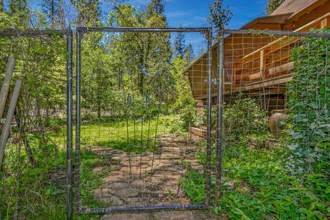 13780 Cedar Pine Ln, Pine Grove, CA 95665 photo 38
