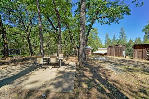 4401 Tall Tree Ln, Placerville, CA 95667 photo 30