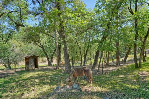 4401 Tall Tree Ln, Placerville, CA 95667 photo 39