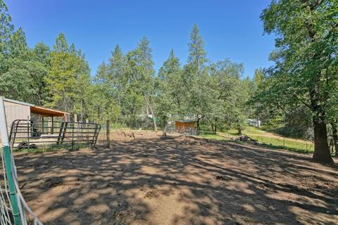 4401 Tall Tree Ln, Placerville, CA 95667 photo 36