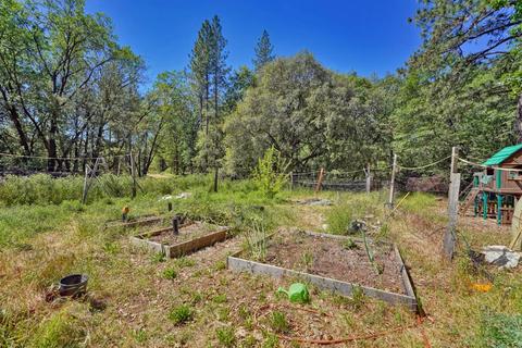 4401 Tall Tree Ln, Placerville, CA 95667 photo 44