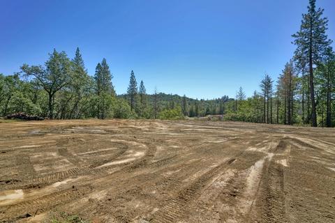 4401 Tall Tree Ln, Placerville, CA 95667 photo 10