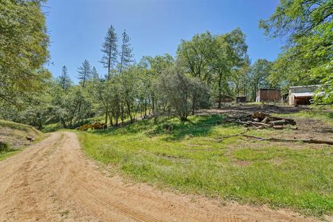 4401 Tall Tree Ln, Placerville, CA 95667 photo 40