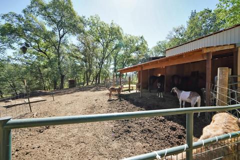 4401 Tall Tree Ln, Placerville, CA 95667 photo 37