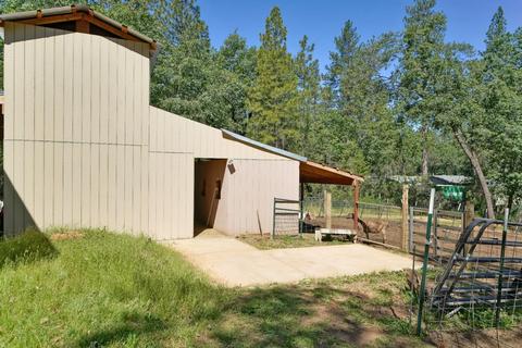 4401 Tall Tree Ln, Placerville, CA 95667 photo 33