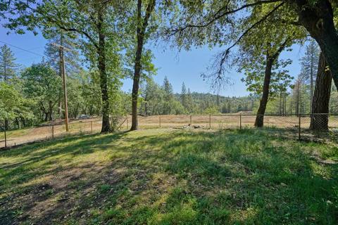 4401 Tall Tree Ln, Placerville, CA 95667 photo 9