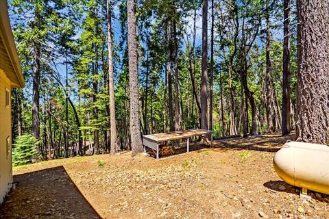 3709 Ruby Ct, Pollock Pines, CA 95726 photo 40