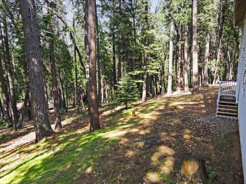 3709 Ruby Ct, Pollock Pines, CA 95726 photo 56