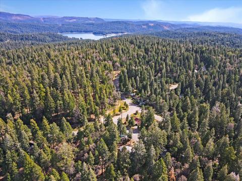 3709 Ruby Ct, Pollock Pines, CA 95726 photo 60