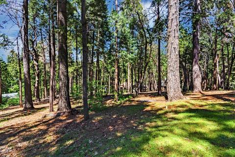 3709 Ruby Ct, Pollock Pines, CA 95726 photo 43